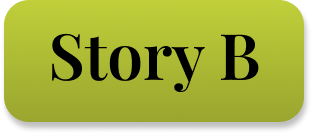 Story B