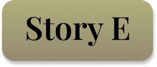 Story E